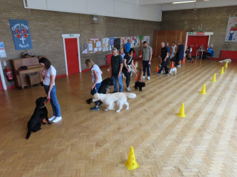 A class working a cone course in the hall