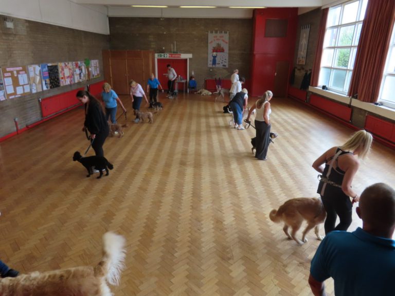 A training class working on lead walking
