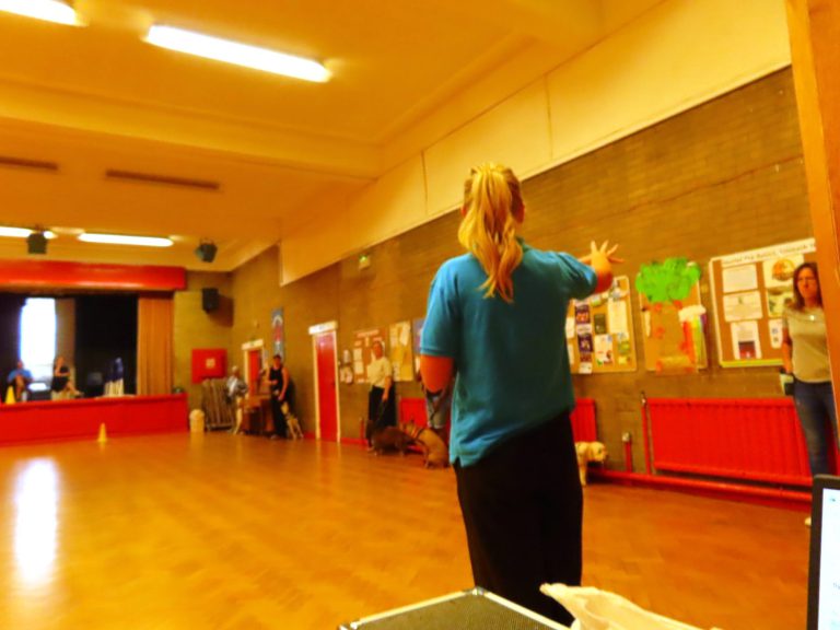 A trainer demonstrating to the class