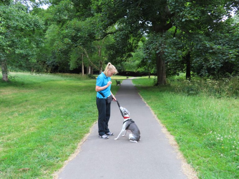 A one-to-one training session in the park
