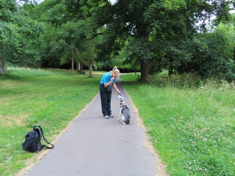 One-to-one lead work on a park path