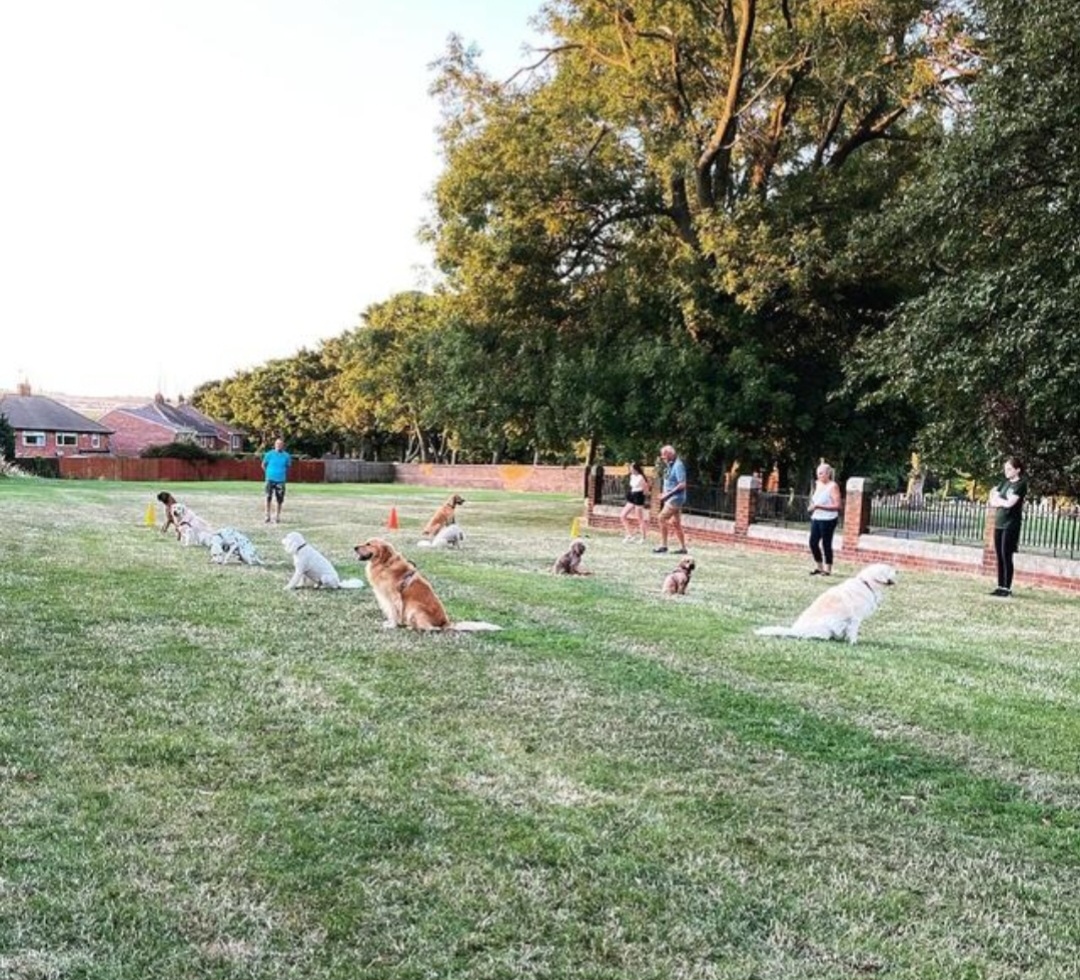 An outdoor training class