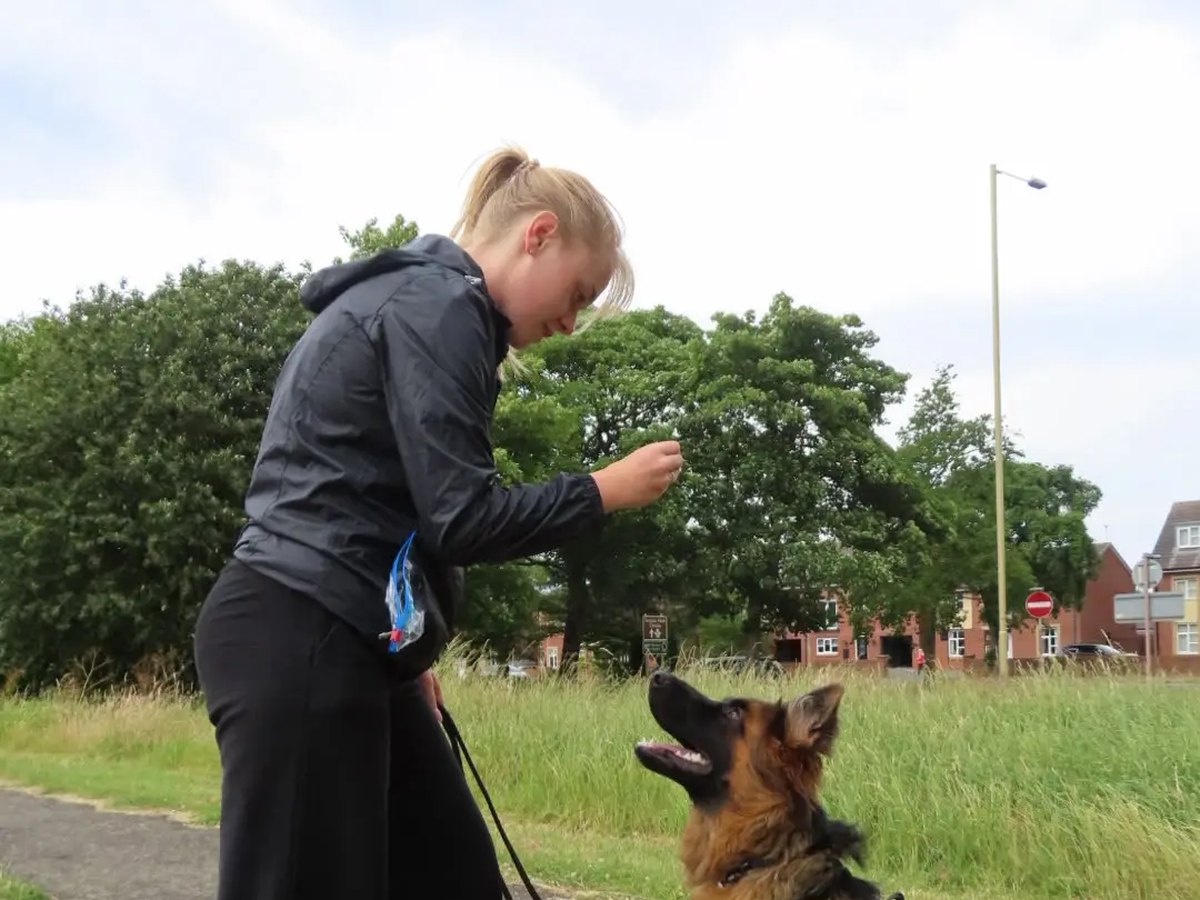 Sarah Crossley, lead trainer at Back To Basics Dog Training