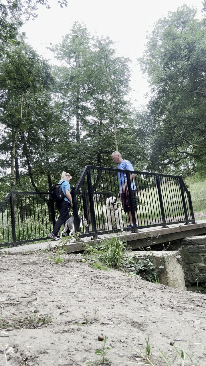 Building confidence over a bridge