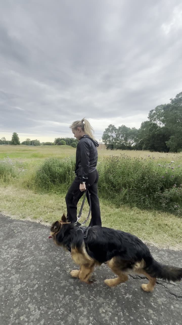 Heelwork with a German shepherd