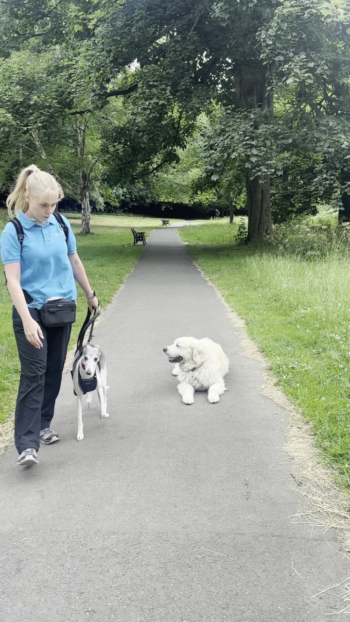 Out in the park together